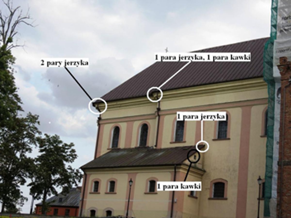 Home projekt bez nazwy
